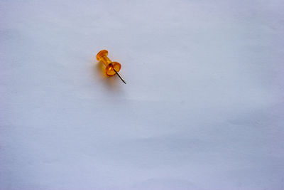 High angle view of yellow toy on table