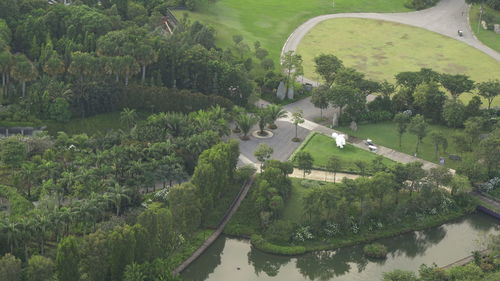 High angle view of river amidst trees in forest