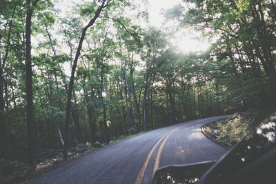 Road passing through forest