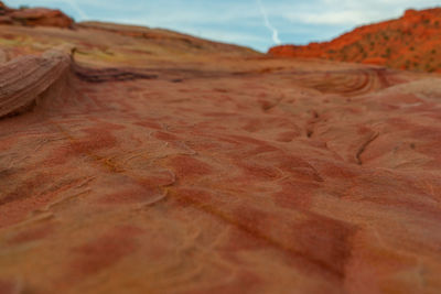 Surface level of desert