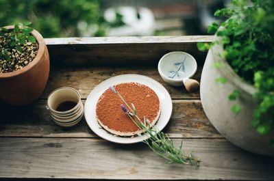 High angle view of potted plant on table