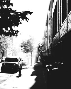 City street with buildings in background