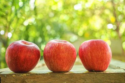 Close-up of apples on table