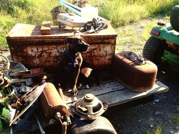 Man standing in front of tree