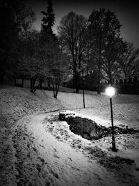 Trees on snow field against sky at night