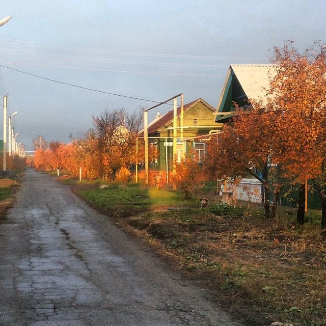 building exterior, architecture, built structure, the way forward, house, sky, tree, residential structure, road, street, residential building, transportation, dirt road, diminishing perspective, outdoors, no people, plant, vanishing point, day, grass