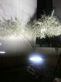 illuminated