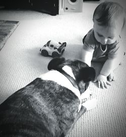 pets