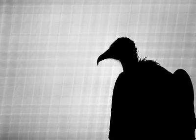 Low angle view of silhouette person standing against sky