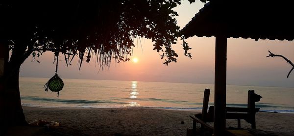 Silhouette trees on beach against sky during sunset