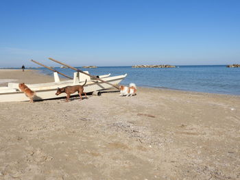 Deck chairs on beach against clear blue sky