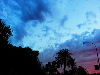 Low angle view of silhouette trees against sky