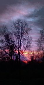 Silhouette bare trees on landscape against sky at sunset