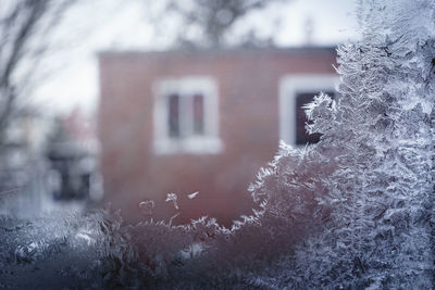 Close-up of frozen window
