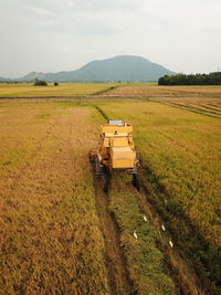 Harvester with egret birds in paddy field.