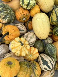 Full frame shot of pumpkins