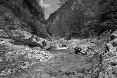 Scenic view of waterfall