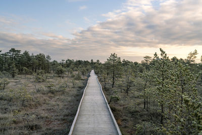 Walking track atviru raba or bog at lahemaa national park in autumn