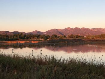 Scenic view of lake against clear sky