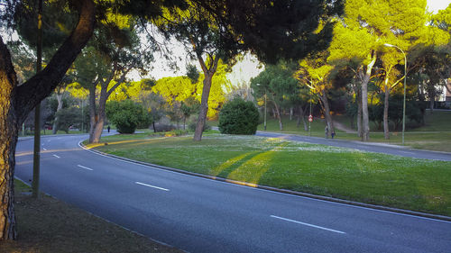 Footpath in park