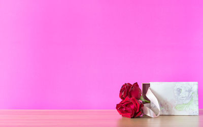 Close-up of pink rose against blue background