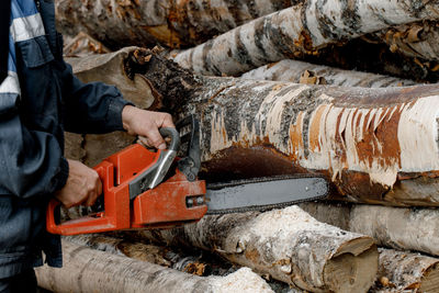 Close-up of a man sawing a tree with a chainsaw. a logger saws a tree trunk with a chainsaw.