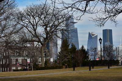 Trees in park against buildings in city