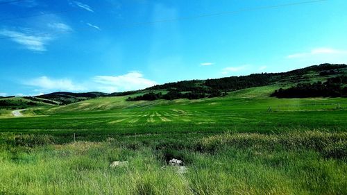 Scenic view of field against sky