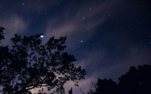 Low angle view of starry sky