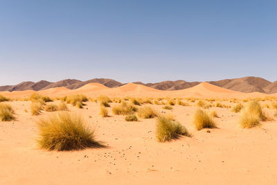 Scenic view of desert against clear blue sky