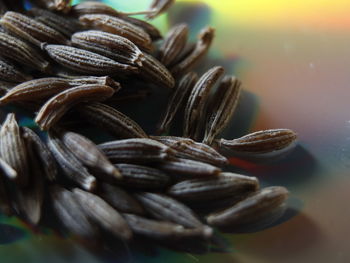 Indian spices - in frame cumin seeds