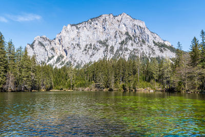 Scenic view of lake in forest against sky