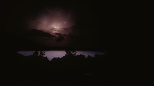 Silhouette trees against sky at night