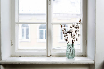 Window of house