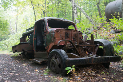 Abandoned vintage car in forest