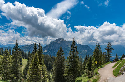 Panoramic view of forest against sky