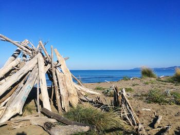 Driftwood on beach against clear blue sky
