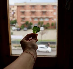 Close-up of hand holding window