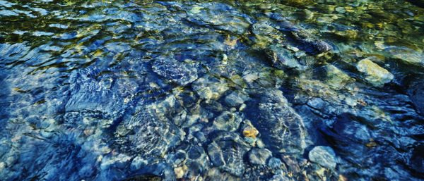 High angle view of rocks in water