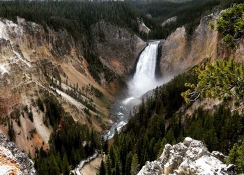 Scenic view of waterfall in forest