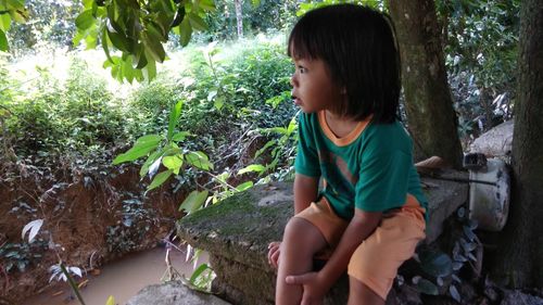 High angle view of boy sitting on stone by tree