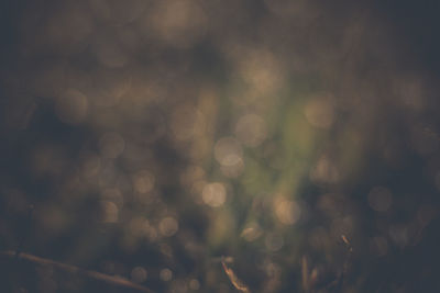 Full frame shot of defocused image of plants