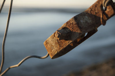 Close-up of rusty metal
