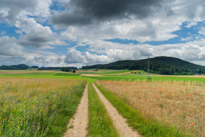 Scenic view of agricultural field against sky