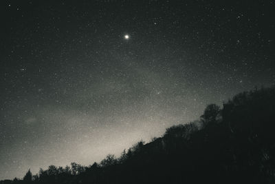 Low angle view of silhouette trees against star field at night