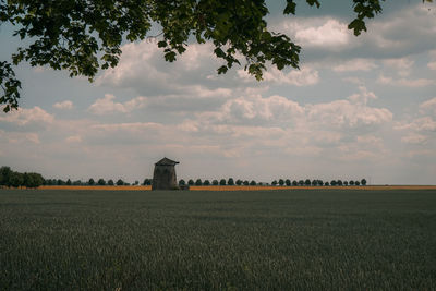 Scenic view of agricultural field against sky