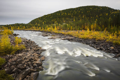 Mountain river, high angle view