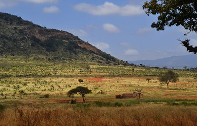 Scenic view of landscape against sky