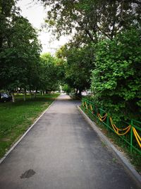 Empty road along trees in park