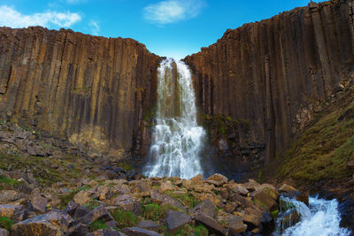 Scenic view of waterfall in forest